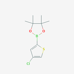 molecular formula C10H14BClO2S B1487982 2-(4-Chlorothiophen-2-yl)-4,4,5,5-tetramethyl-1,3,2-dioxaborolane CAS No. 1040281-84-2