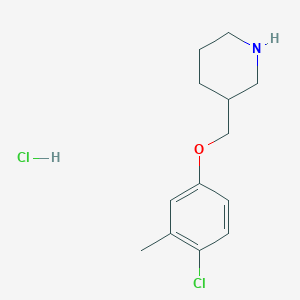 molecular formula C13H19Cl2NO B1487983 4-Chloro-3-methylphenyl 3-piperidinylmethyl ether hydrochloride CAS No. 1220018-94-9