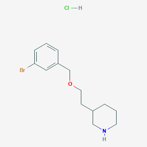 molecular formula C14H21BrClNO B1487987 3-{2-[(3-溴苄基)氧基]乙基}哌啶盐酸盐 CAS No. 1220032-43-8