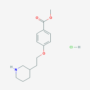 molecular formula C15H22ClNO3 B1488008 Methyl 4-[2-(3-piperidinyl)ethoxy]benzoate hydrochloride CAS No. 1220032-14-3