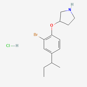 3-[2-Bromo-4-(sec-butyl)phenoxy]pyrrolidine hydrochloride