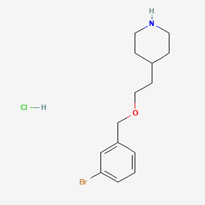 molecular formula C14H21BrClNO B1488022 4-{2-[(3-Bromobenzyl)oxy]ethyl}piperidine hydrochloride CAS No. 1220038-82-3