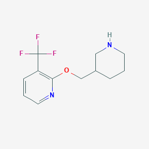 molecular formula C12H15F3N2O B14880932 2-(Piperidin-3-ylmethoxy)-3-(trifluoromethyl)pyridine 
