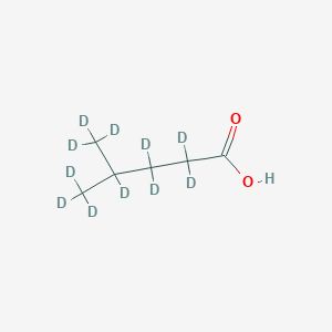 4-Methylpentanoic-d11 Acid