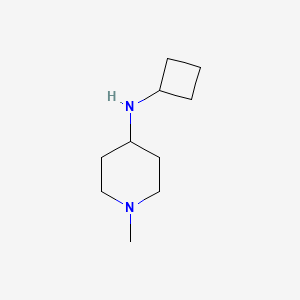 molecular formula C10H20N2 B1488636 N-cyclobutyl-1-methylpiperidin-4-amine CAS No. 1248695-65-9