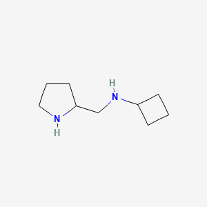 molecular formula C9H18N2 B1488747 N-(pyrrolidin-2-ylmethyl)cyclobutanamine CAS No. 1248944-80-0
