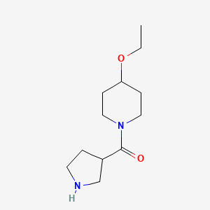 4-Ethoxy-1-(pyrrolidine-3-carbonyl)piperidine