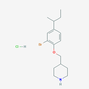 molecular formula C16H25BrClNO B1489355 4-{[2-Bromo-4-(sec-butyl)phenoxy]-methyl}piperidine hydrochloride CAS No. 1220020-92-7