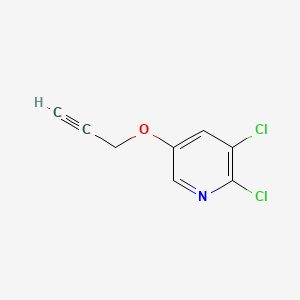 molecular formula C8H5Cl2NO B14894682 2,3-Dichloro-5-(prop-2-yn-1-yloxy)pyridine 