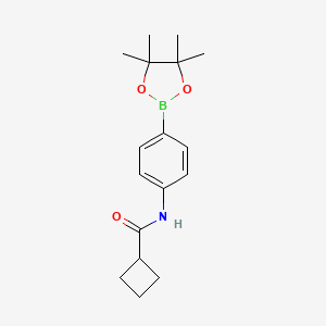 molecular formula C17H24BNO3 B1489596 N-[4-(四甲基-1,3,2-二氧杂硼烷-2-基)苯基]环丁烷甲酰胺 CAS No. 2246888-24-2