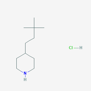 molecular formula C11H24ClN B1489932 4-(3,3-Dimethylbutyl)piperidine hydrochloride CAS No. 1864055-84-4