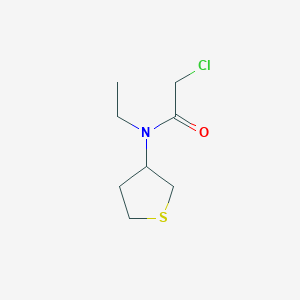 molecular formula C8H14ClNOS B1490348 2-chloro-N-ethyl-N-(tetrahydrothiophen-3-yl)acetamide CAS No. 2092568-72-2