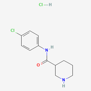 molecular formula C12H16Cl2N2O B14904598 N-(4-Chlorophenyl)piperidine-3-carboxamide hydrochloride 
