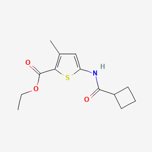 molecular formula C13H17NO3S B14906145 Ethyl 5-(cyclobutanecarboxamido)-3-methylthiophene-2-carboxylate 