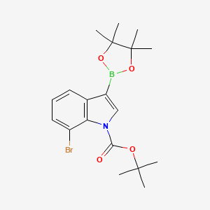 molecular formula C19H25BBrNO4 B14912550 Tert-butyl 7-bromo-3-(4,4,5,5-tetramethyl-1,3,2-dioxaborolan-2-YL)-1H-indole-1-carboxylate 