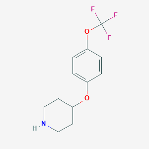 molecular formula C12H14F3NO2 B149191 4-[4-(Trifluoromethoxy)phenoxy]piperidine CAS No. 287952-67-4