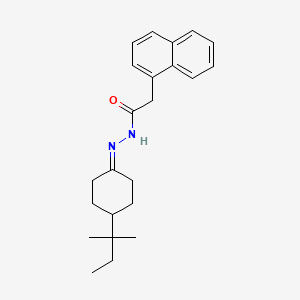 molecular formula C23H30N2O B14923267 N'-[4-(2-methylbutan-2-yl)cyclohexylidene]-2-(naphthalen-1-yl)acetohydrazide 