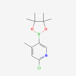 molecular formula C12H17BClNO2 B1492481 2-Chloro-4-methyl-5-(4,4,5,5-tetramethyl-1,3,2-dioxaborolan-2-YL)pyridine CAS No. 1382851-54-8