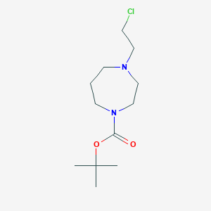 molecular formula C12H23ClN2O2 B1493406 Tert-butyl 4-(2-chloroethyl)-1,4-diazepane-1-carboxylate 