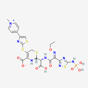 molecular formula C22H23N8O9PS4 B1493642 (2R)-2-[(R)-Carboxy-[[(2Z)-2-ethoxyimino-2-[5-(phosphonoamino)-1,2,4-thiadiazol-3-yl]acetyl]amino]methyl]-5-[[4-(1-methylpyridin-1-ium-4-yl)-1,3-thiazol-2-yl]sulfanyl]-3,6-dihydro-2H-1,3-thiazine-4-carboxylate CAS No. 1286218-63-0
