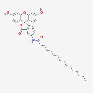 HAF  [5-Hexadecanoylaminofluorescein]