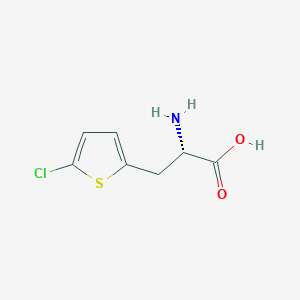 molecular formula C7H8ClNO2S B1497036 3-(5-Chlorothien-2-yl)-L-alanine CAS No. 911471-88-0