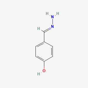 molecular formula C7H8N2O B1497120 4-Hydroxy-benzaldehyde hydrazone 