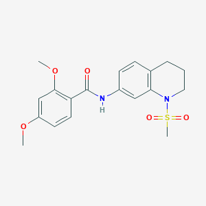 molecular formula C19H22N2O5S B14972290 N-(1-Methanesulfonyl-1,2,3,4-tetrahydroquinolin-7-YL)-2,4-dimethoxybenzamide 