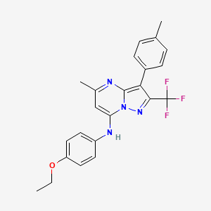 molecular formula C23H21F3N4O B14980928 N-(4-ethoxyphenyl)-5-methyl-3-(4-methylphenyl)-2-(trifluoromethyl)pyrazolo[1,5-a]pyrimidin-7-amine 