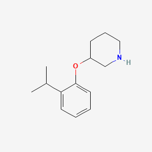 3-(2-Isopropylphenoxy)piperidine