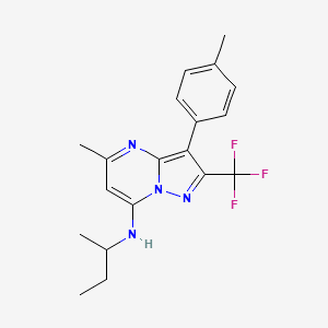 molecular formula C19H21F3N4 B14983382 N-(butan-2-yl)-5-methyl-3-(4-methylphenyl)-2-(trifluoromethyl)pyrazolo[1,5-a]pyrimidin-7-amine 
