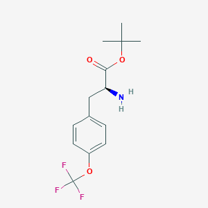 (S)-4-(Trifluoromethoxyl)phenylalanine t-butyl ester