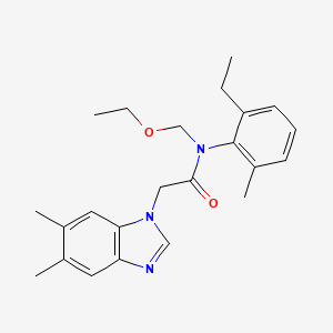 molecular formula C23H29N3O2 B14993949 2-(5,6-dimethyl-1H-benzimidazol-1-yl)-N-(ethoxymethyl)-N-(2-ethyl-6-methylphenyl)acetamide 