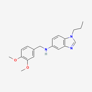 molecular formula C19H23N3O2 B14998360 N-(3,4-dimethoxybenzyl)-1-propyl-1H-benzimidazol-5-amine 