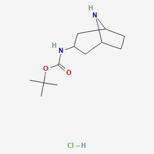B1500621 tert-Butyl 8-azabicyclo[3.2.1]octan-3-ylcarbamate hydrochloride CAS No. 403479-18-5