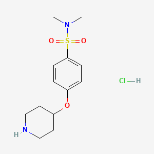 molecular formula C13H21ClN2O3S B1500810 N,N-dimethyl-4-(piperidin-4-yloxy)benzenesulfonamide hydrochloride CAS No. 1185317-97-8