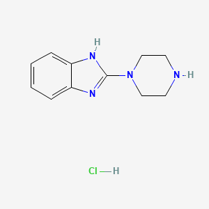 molecular formula C11H15ClN4 B1501258 2-(Piperazin-1-yl)-1H-benzo[d]imidazole hydrochloride CAS No. 1185310-36-4