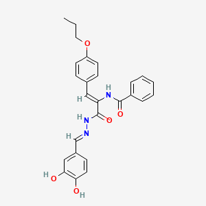 molecular formula C26H25N3O5 B15012691 N-[(1Z)-3-[(2E)-2-(3,4-dihydroxybenzylidene)hydrazinyl]-3-oxo-1-(4-propoxyphenyl)prop-1-en-2-yl]benzamide 