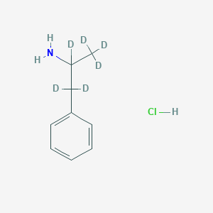 molecular formula C9H14ClN B1501420 Phenyl-2-aminopropane-1,1,2,3,3,3-D6 hcl CAS No. 205437-60-1