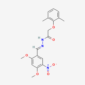 molecular formula C19H21N3O6 B15014719 N'-[(E)-(2,4-dimethoxy-5-nitrophenyl)methylidene]-2-(2,6-dimethylphenoxy)acetohydrazide 