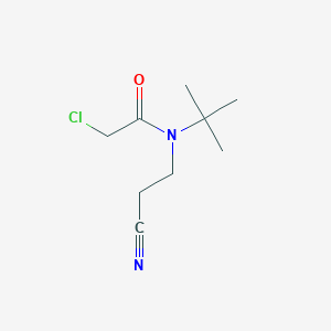 molecular formula C9H15ClN2O B15015246 N-tert-butyl-2-chloro-N-(2-cyanoethyl)acetamide 
