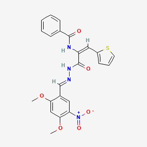 molecular formula C23H20N4O6S B15015871 N-[(1E)-3-[(2E)-2-(2,4-dimethoxy-5-nitrobenzylidene)hydrazinyl]-3-oxo-1-(thiophen-2-yl)prop-1-en-2-yl]benzamide 