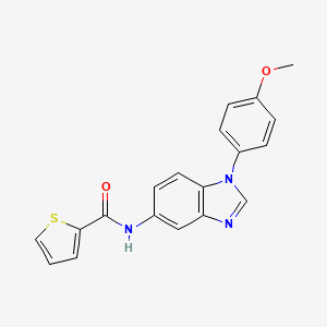 molecular formula C19H15N3O2S B15022900 N-[1-(4-methoxyphenyl)-1H-benzimidazol-5-yl]thiophene-2-carboxamide 