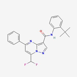 molecular formula C24H22F2N4O B15023222 N-(2-tert-butylphenyl)-7-(difluoromethyl)-5-phenylpyrazolo[1,5-a]pyrimidine-3-carboxamide 