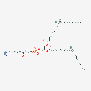 18:1 Caproylamine PE