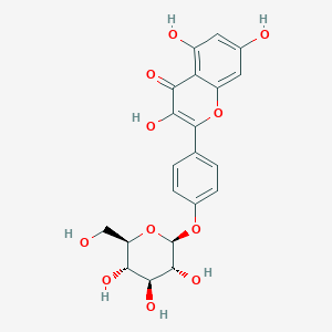 molecular formula C21H20O11 B150291 Kaempferol 4'-glucoside CAS No. 52222-74-9