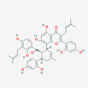 molecular formula C45H44O11 B150301 Moracenin a CAS No. 76472-87-2