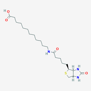 molecular formula C22H39N3O4S B015032 N-Biotinyl-12-aminododecanoic Acid CAS No. 135447-73-3