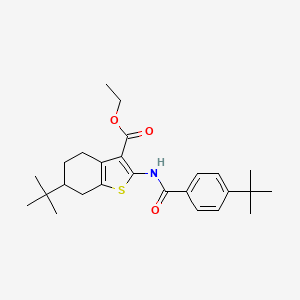 molecular formula C26H35NO3S B15038551 Ethyl 6-tert-butyl-2-{[(4-tert-butylphenyl)carbonyl]amino}-4,5,6,7-tetrahydro-1-benzothiophene-3-carboxylate 