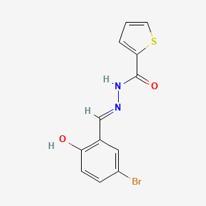 molecular formula C12H9BrN2O2S B15039640 N'-(5-bromo-2-hydroxybenzylidene)-2-thiophenecarbohydrazide 